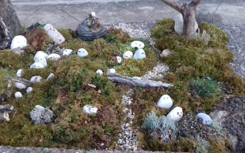 Mon Petit Jardin SarahCamus