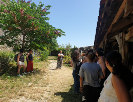 Visites thématiques "flash" du Château de Mâlain
