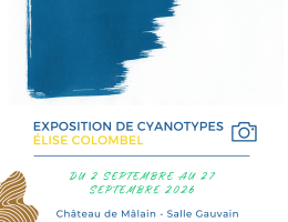 Exposition de cyanotypes d'Elise Colombel
