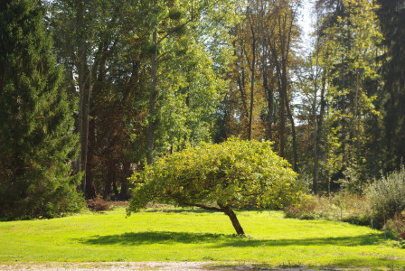 Crédits photo : Château de Bussy-la-Pesle © marion laurenty 