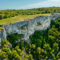 Visite "L'avifaune de l'ENS des falaises de ...