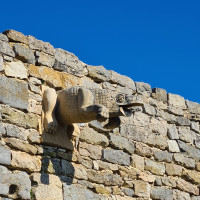 Visite du bestiaire du château