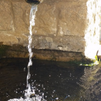RDV aux Jardins au jardin de la Serrée