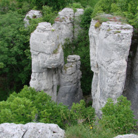 Randonnée-découverte de la Combe aux Mammouths