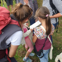 Balade sur les traces des animaux