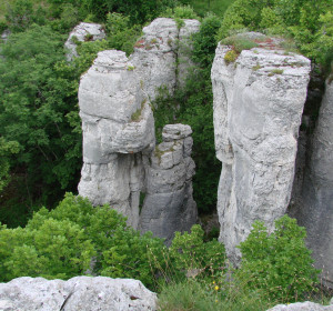 Randonnée-découverte de la Combe aux Mammouths