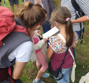 Balade sur les traces des animaux
