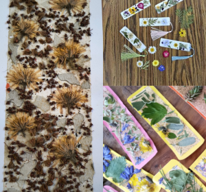 Atelier créatif "marque-page en mosaïque végétale"
