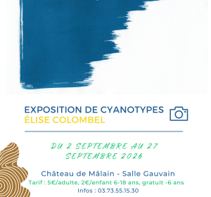 Exposition de cyanotypes d'Elise Colombel
