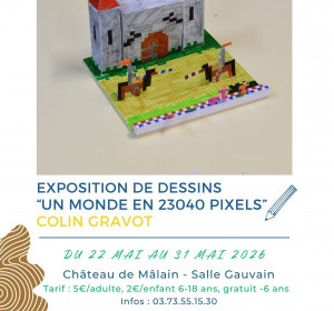 Exposition "Un monde en 23040 pixels"
