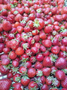 Crédits photo : MV